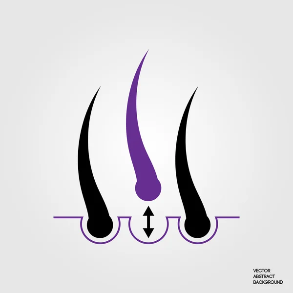 Hair growth cycle Vector Art Stock Images | Depositphotos Hair growth cycle Vector Art Stock Images | Depositphotos