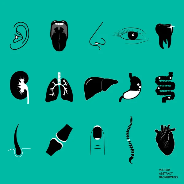 Los órganos humanos. Anatomía. Iconos de medicina — Vector de stock