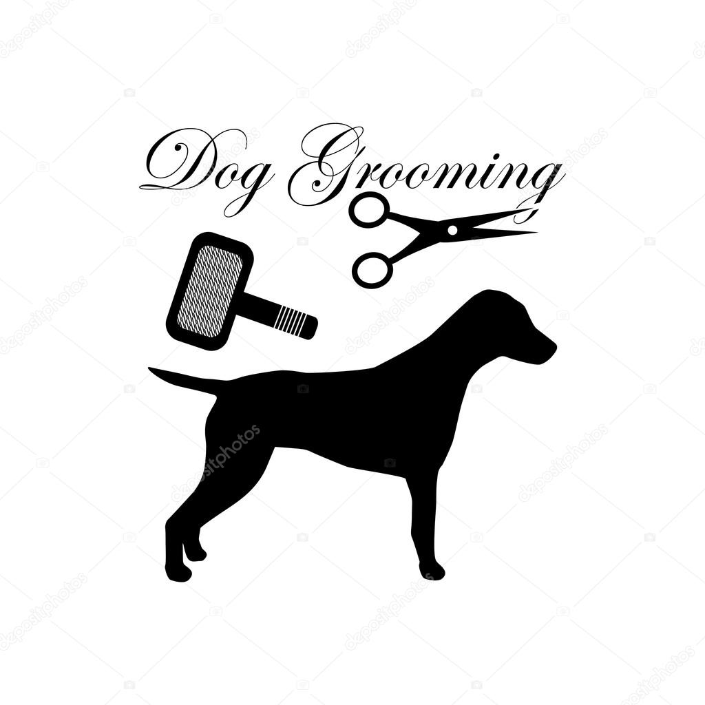 Dog Grooming Dog Hairdresser Service Dog Caring For Animals