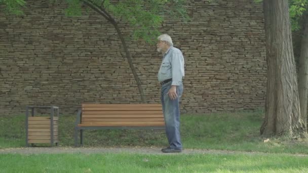 Een blanke man die in het zonnige park op z 'n vrouw wacht. Vrolijke vrouw nadert echtgenoot en knuffelt liefhebbende echtgenoot. Vreugdevolle gepensioneerden die samen vertrekken. Liefde en dating concept. — Stockvideo