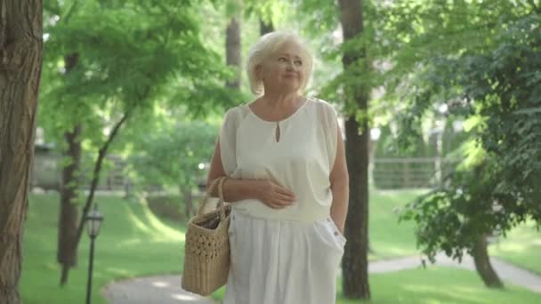 Avslappnad äldre kaukasiska kvinna promenader i solig park på sommardagen. Porträtt av bekymmerslös kvinnlig pensionär gå utomhus passerar gamla gråhårig man sitter på bänk och läsa bok. — Stockvideo