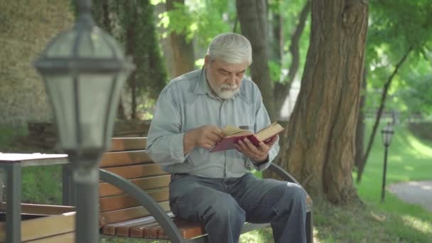 Portret van een geabsorbeerde seniorenleesboek in het zonnige zomerpark. Ontspannen blanke man gepensioneerd zittend op bank en genietend van literatuur. Lifestyle en hobby bij pensionering. — Stockvideo