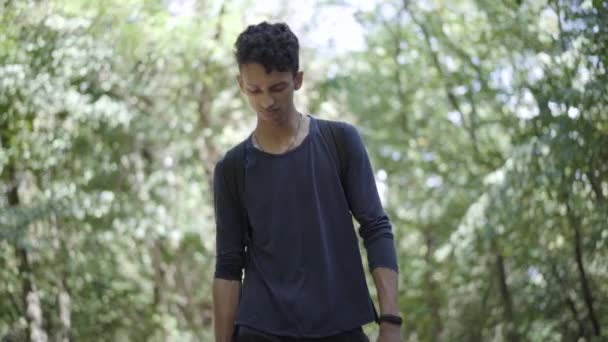 Porträtt av ung blandras turist med ryggsäck promenader i solig skog. En självsäker stilig man som ser sig omkring och går. Positiv manlig resenär i solljus utomhus. — Stockvideo