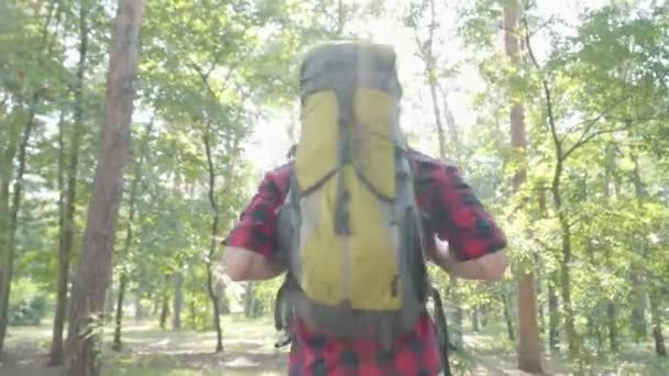 Ung manlig turist med ryggsäck promenader i solstrålar i sommarskogen och ser sig omkring. Porträtt av vacker vit man beundrar naturens skönhet medan du vandrar utomhus på solig dag. — Stockvideo