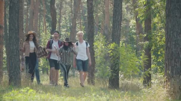 Широкий снимок позитивных туристов, гуляющих в солнечных лучах в летнем лесу. Счастливые молодые мужчины и женщины отдыхают на природе в солнечный день. Улыбающиеся туристы наслаждаются путешествиями и эко-туризмом. — стоковое видео