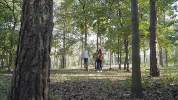 Extremt bred bild av vacker kvinna som spelar gitarr som promenader med vänner i sommarskogen. Positiv kaukasisk grupp turister lämnar, stilig man som stannar för att beundra naturen genom kikare. — Stockvideo