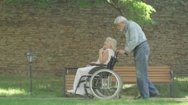 Güneşli yaz parkında konuşan ve el kol hareketi yapan yaşlı çiftin yan görüntüsü. Yaşlı beyaz adamın mutlu engelli bir kadınla tekerlekli sandalyeye oturduğu geniş açı. Sonsuz sevgi ve destek kavramı.