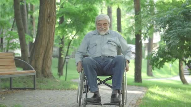 Glada gamla handikappade man rulla rullstol längs gränden i sommarparken. Brett fotograferat porträtt av glada handikappade kaukasiska pensionär njuter solig dag. Aktiv förlamad man vilar utomhus. — Stockvideo