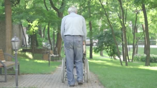 Обратный вид старика, бегущего с инвалидной коляской по переулку, как счастливая женщина-инвалид, протягивающая руки. Широкий снимок веселой пары кавказских пенсионеров, наслаждающихся солнечным днем в парке. Концепция счастья. — стоковое видео