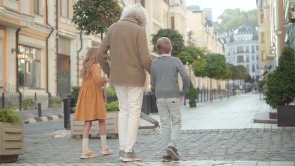 Amplio plano de abuelo y nietos caminando por la calle de pavimentación en un día soleado. vista trasera de la feliz familia multigeneracional disfrutando del fin de semana de verano al aire libre. Tiempo libre y unidad familiar. — Vídeo de stock