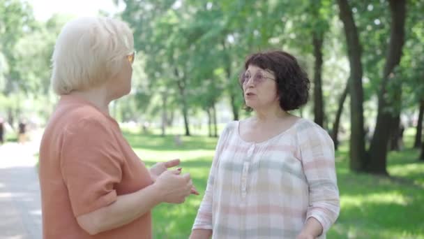 Δύο ενεργοί τελειόφοιτοι μιλάνε στο θερινό πάρκο. Πλευρική άποψη των χαλαρών χαρούμενες Καυκάσιες ηλικιωμένες γυναίκες σε γυαλιά ηλίου κουβέντα και χειρονομίες. Τρόπος ζωής και έννοια της φιλίας. — Αρχείο Βίντεο