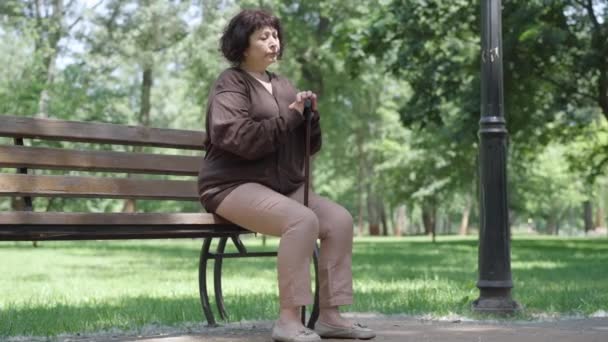 Breed shot van eenzame overstuur senior vrouw zittend op de bank in de zomer of lente park en denken. Portret van gefrustreerde depressieve blanke gepensioneerde buitenshuis met stuifmeel rondvliegend. — Stockvideo