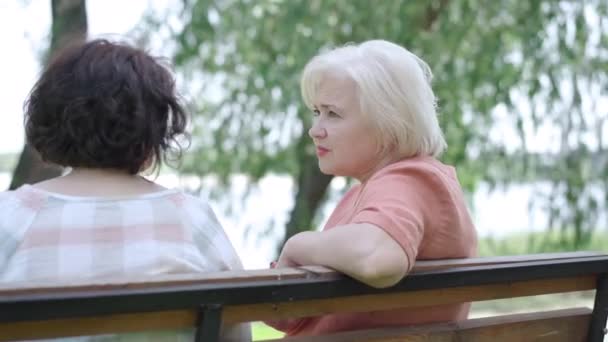Visão traseira de duas mulheres idosas despreocupadas sentadas no banco no parque de verão e conversando. Reformados caucasianos relaxados conversando no dia ensolarado ao ar livre. Conceito de aposentadoria e lazer. — Vídeo de Stock
