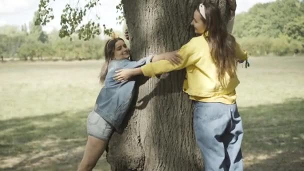 Three joyful hippie friends approaching big tree and hugging trunk. Positive laughing young Caucasian man and women expressing love to nature on sunny day outdoors. 1960s counterculture and joy. — Stock Video