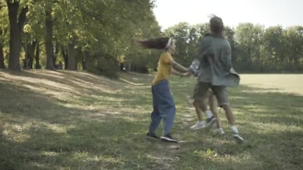 Wide shot of carefree high hippies jumping in circle holding hands. Smiling young Caucasian men and women enjoying sunny summer day outdoors. 1960s counterculture and lifestyle. — Stock Video