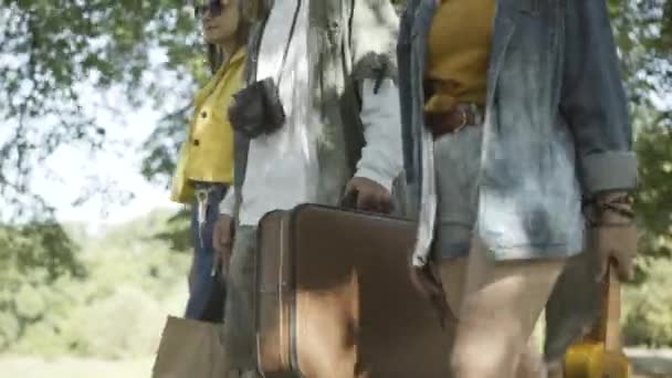 Side view of young relaxed hippie friends walking in sunlight outdoors with suitcase and ukulele. Carefree Caucasian man and women strolling on sunny summer day. 1960s counterculture. — Stock Video