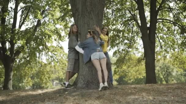 Wide shot of carefree Caucasian hippie man and women hugging tree trunk on sunny summer day outdoors. Happy relaxed friends enjoying nature and smiling. Leisure and counterculture of 1960s. — Stock Video