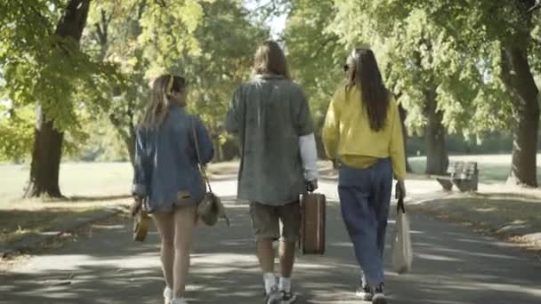 Vista trasera de hippies relajados caminando en el soleado parque de verano y hablando. Amplio plano de hombre y mujeres caucásicos despreocupados paseando y hablando al aire libre. Concepto de estilo de vida. — Vídeos de Stock