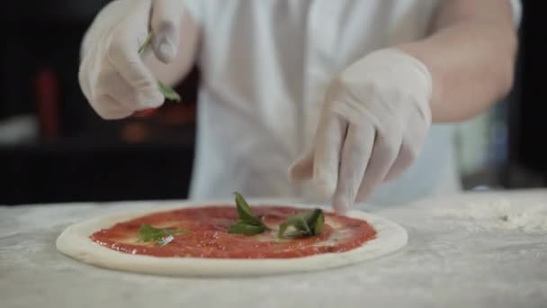 Неузнаваемый кавказский повар добавляет листья орегано в тесто для пиццы, смазанное томатным соусом. Профессиональный повар готовит традиционные итальянские блюда на кухне ресторана. Концепция питания. — стоковое видео