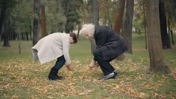 Веселая счастливая пожилая пара, блюющая желтыми листьями в осеннем парке. Позитивно радостный белый мужчина и женщина встречаются на открытом воздухе. Счастье и вечная любовь. — стоковое видео