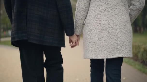 Bagside visning af uigenkendelige senior kaukasiske par gå i efteråret park holder hænder. Kærlig mand og kvinde slentre udendørs nyder naturen. Evig kærlighed og samvær koncept. – Stock-video