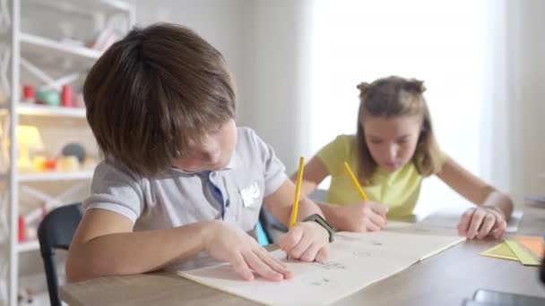 Charmanter kaukasischer Junge, der in die Kamera blickt und mit verschwommener Mädchenzeichnung im Hintergrund lächelt. Porträt eines süßen selbstbewussten Schuljungen, der in der Schule mit einem Klassenkameraden posiert. Lebensstil und Bildung. — Stockvideo