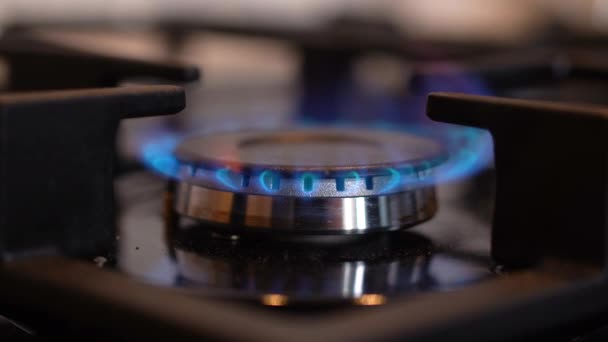 Gros plan du brûleur à gaz avec flamme bleue brûlante. Appareil électroménager allumé dans la cuisine à la maison ou au restaurant. Cuisine et cuisine. — Video