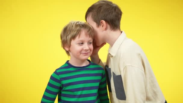 肯定的な笑顔の男の子は黄色の背景で耳にささやく秘密を共有します。幸せな白人の兄弟や友人の噂話や笑い。信頼と友情の概念. — ストック動画