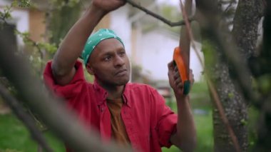 Bahçedeki aşırı büyümüş ağaç dalını testereyle kesen kendinden emin bir gencin portresi. Yaz günü bahçeyle uğraşan yakışıklı Afro-Amerikan peyzajcı..