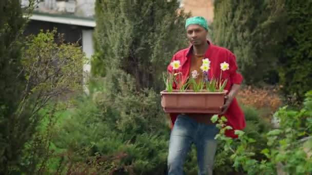 Giovane uomo afroamericano serio che cammina in giardino tenendo vaso di fiori e lasciando. Ritratto di ragazzo concentrato fiducioso trapiantare piante in cortile il giorno d'estate. Orticoltura e hobby. — Video Stock