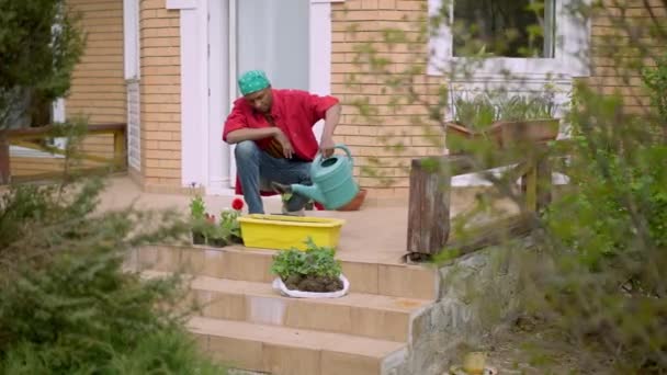 外の花の鍋に男性庭師の散水地面の極端なワイドショット。庭のポーチで植物の世話をする若いアフリカ系アメリカ人の男性の肖像画。フロリスティクスと造園. — ストック動画