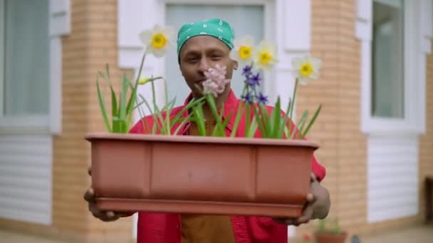 Orgulhoso florista afro-americano que estica o pote com flores florescentes à câmera sorrindo. Retrato de homem bonito jovem ostentando plantas no jardim no dia de primavera de verão. Paisagismo e florística. — Vídeo de Stock