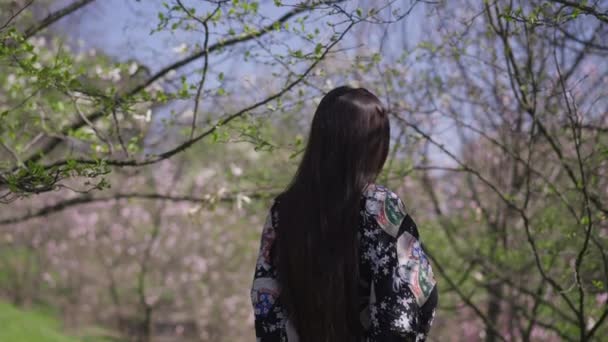 Bagsidebillede af glad slank smuk asiatisk ung kvinde, der går i forårsparken og vender sig mod kameraet smilende. Portræt af selvsikker glad afslappet tusindårig poserer udendørs på sommerdagen. Langsom bevægelse. – Stock-video