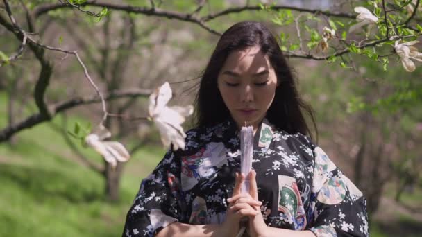 Et portrett av en ung, selvsikker asiatisk vakker kvinne med lukket vifte foran kamera. Vakker japansk dame som poserer i parken med blomstrende trær. Langsom bevegelse. – stockvideo