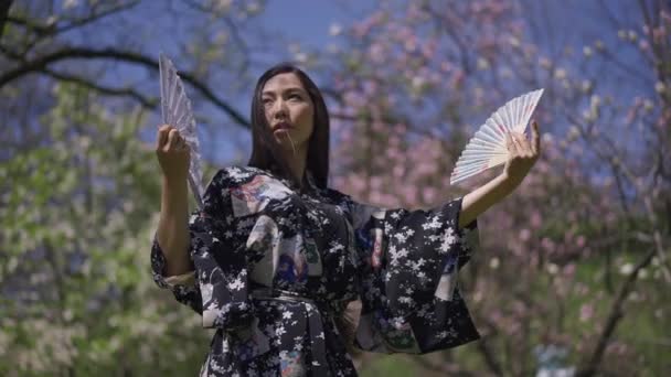 Joven mujer japonesa delgada bailando en cámara lenta con fans en las manos. Mediana toma de hermosa bailarina asiática en kimono disfrutando del soleado día de primavera en el floreciente parque al aire libre. — Vídeos de Stock