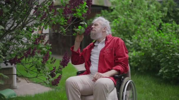 Retrato de feliz deficiente barbudo homem idoso cheirando flor na árvore florescente no jardim sorrindo. alegre bonito caucasiano aposentado desfrutando de lazer no quintal ao ar livre no ensolarado dia de primavera. — Vídeo de Stock