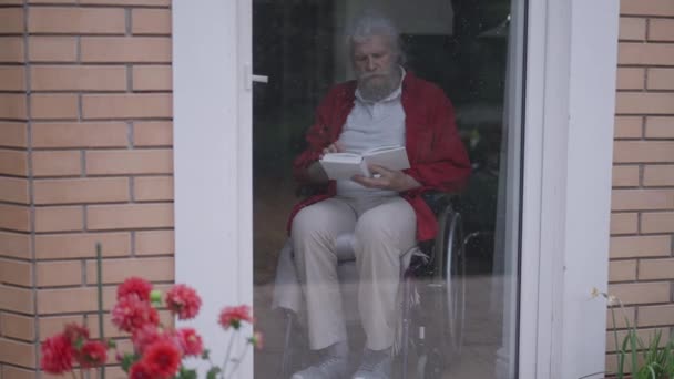 Pria tua cerdas yang tampan di kursi roda membaca buku penutup berpikir duduk di belakang pintu kaca di rumah. Potret seorang pensiunan Kaukasia cerdas yang cerdas di dalam ruangan. Gerakan lambat. — Stok Video