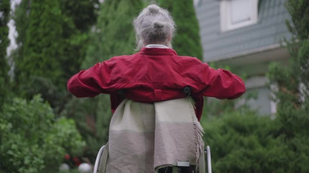 Vue de l'arrière du vieil homme handicapé aux cheveux gris qui s'étire en fauteuil roulant dans le jardin d'été à l'extérieur. Plan moyen de retraité handicapé invalide jouissant de loisirs. Mouvement lent. — Video