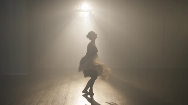 Silhouette de ballerine blanche mince performant dans le brouillard rétro-éclairé arrêter de regarder la caméra. Vue d'ensemble d'un danseur de ballet de talent artistique confiant répétant la performance dans un studio de danse à l'intérieur — Video