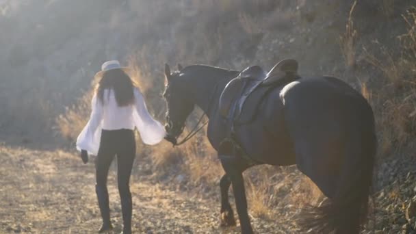 Widok z tyłu szerokie ujęcie szczupłej, pewnej siebie kobiety i czystej krwi konia spacerującego w słońcu w zwolnionym tempie. Profesjonalny kaukaski jeździec trzymający uzdę spacerującą z pełnym wdzięku zwierzęciem w górach. — Wideo stockowe