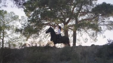 Sıska dişi binicinin hasır şapka takıp memelilere sarılırken tepede güneşin altında duran zarif safkan atın geniş açılı görüntüsü. Mutlu binici ve hayvan gün batımında dışarıda.