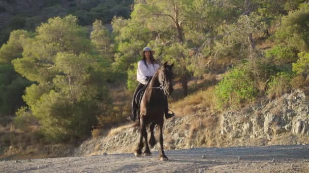 Widok z przodu pełen wdzięku koń robi kroki pokonując kopyta, odsuwając się na bok z kobietą jeźdźcem na plecach. Kochające wolność zwierzę czystorasowe z białą kobietą w świetle słonecznym na świeżym powietrzu w lasach górskich. — Wideo stockowe