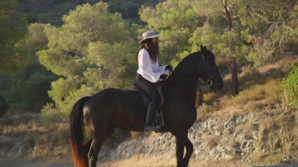 Side view of positive professional Caucasian equestrian talking to horse sitting on animal back smiling. Cheerful beautiful slim woman training purebred graceful mammal outdoors on summer day. — Stock Video