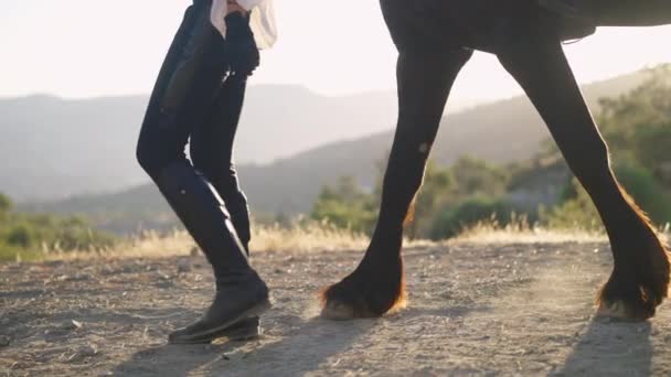 Side view legs of unrecognizable woman and horse walking in slow motion on mountain hill at sunset. Slim equestrian and purebred graceful animal strolling outdoors in sunlight. Grace and freedom. — Stock Video