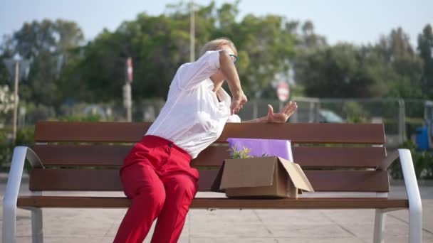 Felice donna sottile bella svegliarsi seduto sulla panchina con scatola di cartone sorridente e stretching. Ritratto di donna d'affari caucasica spensierata che lascia il lavoro godendo della soleggiata giornata estiva all'aperto. — Video Stock