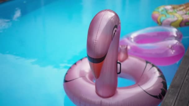 Szczelnie różowy pierścień pływacki w kształcie łabędzia w niebieskim basenie na zewnątrz kurortu. Nadmuchiwana zabawka wodna w słońcu. Koncepcja przemysłu wakacyjnego i usługowego. — Wideo stockowe