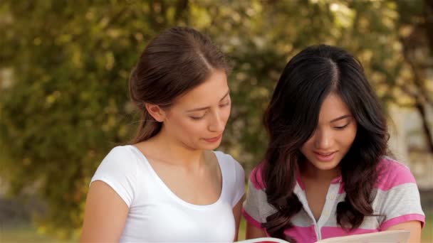 Two beautiful girls studying outdoors — Stock Video