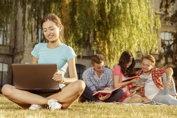 Groep van mooie jonge student zittend op het gras — Stockfoto