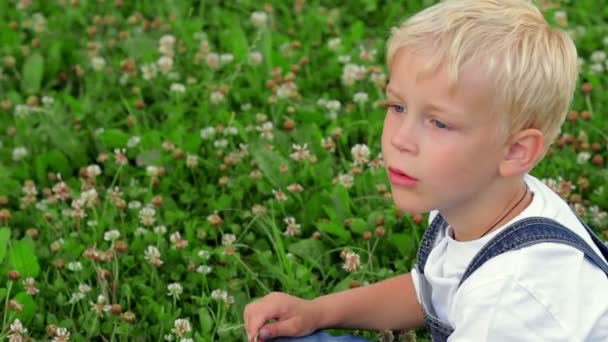 햇볕이 잘 드는 풀밭에 행복 한 소년 — 비디오