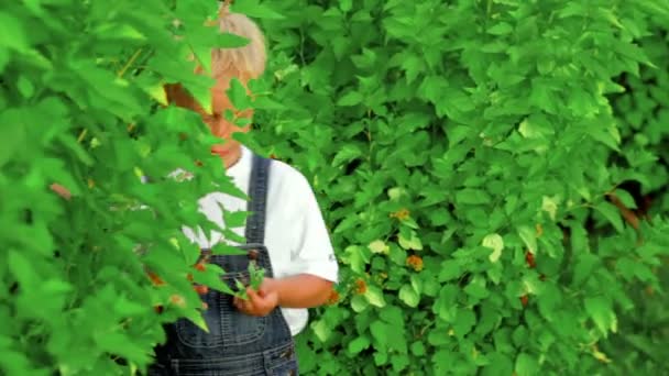 Glad liten pojke som gömmer sig i buskarna — Stockvideo